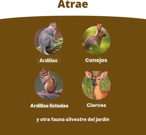 Miniatura 2 de Kaytee Mezcla de Alimento para Vida Silvestre de Patio para Ardillas, Ardillas Terrenas, Conejos y Otra Vida Silvestre del Patio, 5 Libras