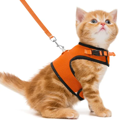 Miniatura 10 de PUPTECK Juego de arnés y correa de malla suave para gatos, arnés acolchado para mascotas, a prueba de escape, para gatos, perros pequeños, conejos