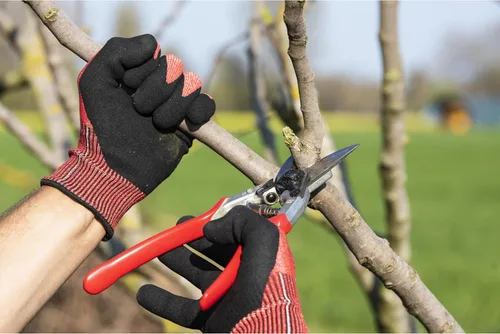 Miniatura 2 de Tijeras de poda Felco F-13 – Tijeras de jardín de 27 cm con uso de doble mano y corte de 30 mm Podadoras de mano para jardinería Cortador