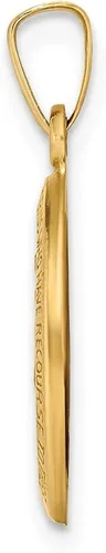 Miniatura 2 de Colgante de oro amarillo de 14 quilates pulido y satinado milagroso, Metal