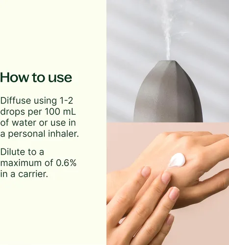 Miniatura 3 de Plant Therapy Aceite esencial Rose Otto 5 mL (1/6 oz) 100% puro, sin diluir, aromaterapia, cuidado de la piel, relajante y romántico aroma