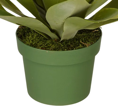 Miniatura 3 de House of Silk Flowers Suculenta de agave artificial (pequeño)