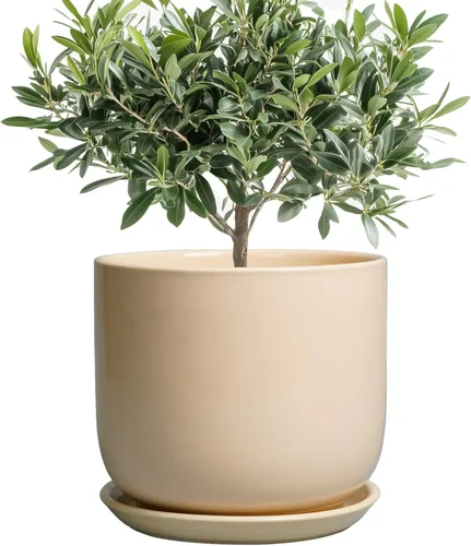 Miniatura 56 de Maceta de Cerámica para Plantas de Interior de 5 Pulgadas - Maceta Redonda para Plantas Suculentas con Agujero de Drenaje y Platillo, Decoración