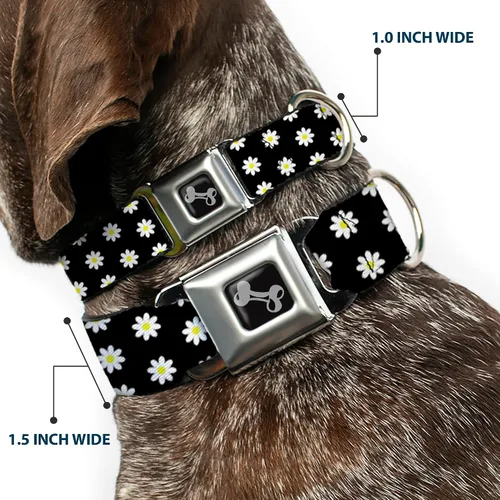 Miniatura 2 de Collar de perro hebilla de cinturón de seguridad margaritas dispersas negro blanco amarillo 9 a 15 pulgadas 1.0 pulgadas ancho