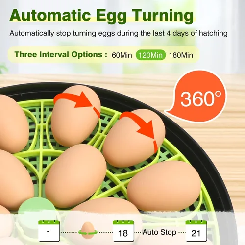 Miniatura 4 de 18 incubadoras de huevos para incubar huevos, incubadora de huevos con control de temperatura, pantalla de humedad, girador automático de huevos