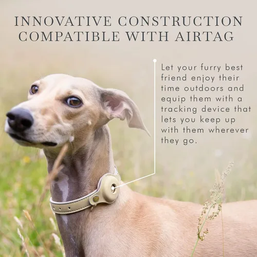 Miniatura 4 de Collares, arneses y correas para perros Nina Woof de Cupertino, fabricados con cuero vegano con soporte para dispositivo de seguimiento de perros