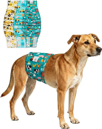 Miniatura 30 de CuteBone - Pañales lavables para perro macho, banda abdominal, paquete de 3 unidades, color negro, modelo DM54XS