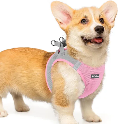 Miniatura 90 de rabbitgoo Arnés para perro pequeño, chaleco de malla suave para cachorros con hebilla de seguridad, arnés reflectante transpirable para mascotas