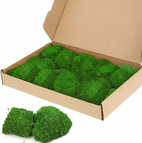 TCYPUHL Cojín de musgo preservado verde oscuro de 1 pies cuadrados para plantas, manualidades de interior, arte de pared, bricolaje, terrarios,