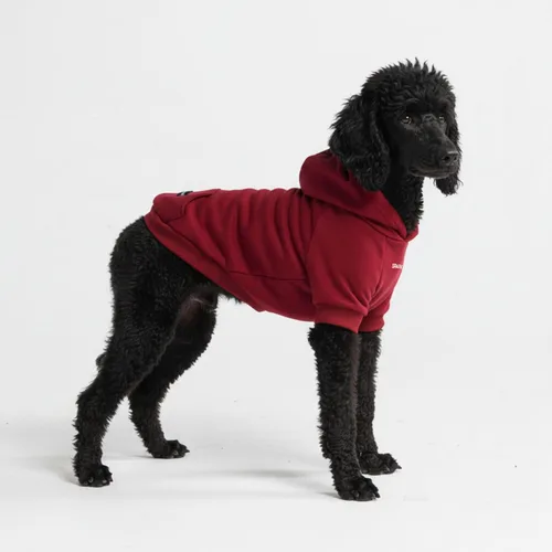 Miniatura 97 de Spark Paws Sudadera con capucha para perro, suéter de primera calidad para perros pequeños, medianos y grandes Trajes cálidos para bulldogs