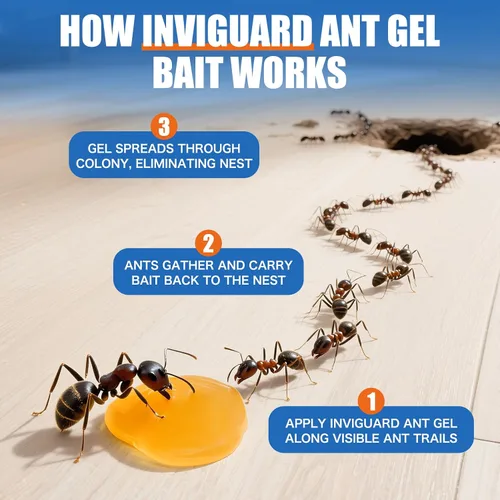 Miniatura 5 de Cebo de gel para hormigas, 3 tubos x 0.35 oz, uso en interiores y exteriores, gel asesino para el control de la mayoría de las principales especies
