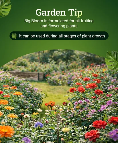 Miniatura 5 de FoxFarm - Alimento para plantas Big Bloom, concentrado de fertilizante líquido para flores, frutas y verduras, fertilizante vegetal multiusos