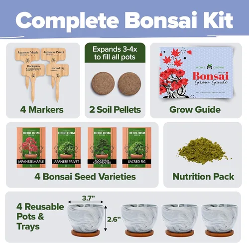 Miniatura 2 de HOME GROWN Kit de Árbol Bonsái – Juego Inicial Premium de Cerámica con 4 Variedades de Bonsái – Fácil Regalo de Jardinería Interior para Hombres