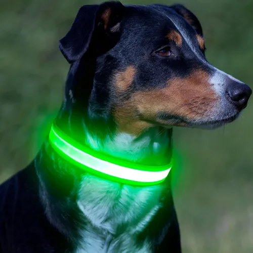 Miniatura 7 de Collar LED para Perros Vizpet, Collar para Perros Luminoso Ajustable Recargable por USB Super Brillante Luz de Seguridad Collares Brillantes