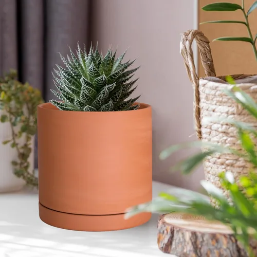 Miniatura 7 de D'vine Dev Maceta de Terracota Extra Pequeña de 4 Pulgadas con Orificio de Drenaje y Platillo, Maceta Cilíndrica Redonda para Plantas