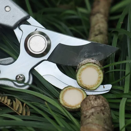 Miniatura 6 de Garden Shears - Tijeras de podar de mano profesionales, tijeras de podar de derivación resistentes (rojo)