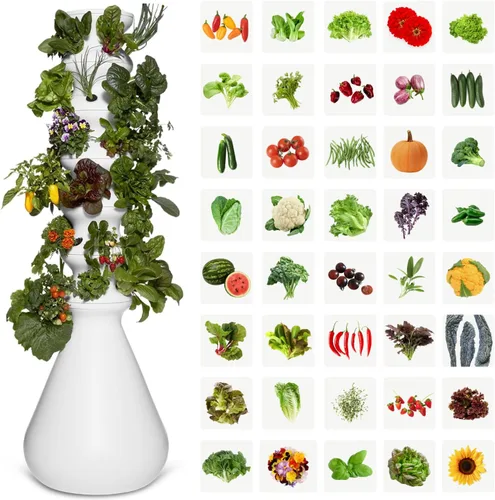 Miniatura 12 de Kit de inicio Lettuce Grow Farmstand con anillos luminosos y 12 créditos para plántulas Pequeño kit de sistema de cultivo hidropónico Torre