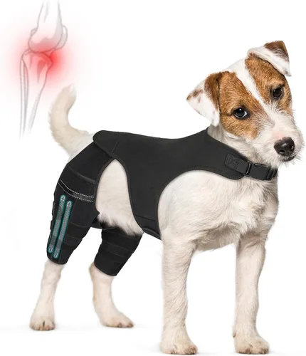 Rodillera para perro para recuperación de desgarros del ligamento cruzado anterior – Soporte ortopédico ajustable para doble estabilidad de las