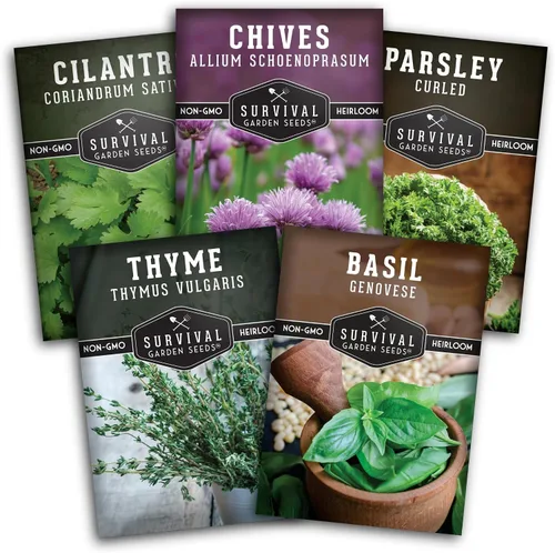 Survival Garden Seeds Culinary Herb Collection - Bóveda de semillas de perejil rizado, cilantro, albahaca, cebollino, tomillo, semillas de reliquia