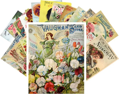 Miniatura 18 de PIXILUV Johann - Postales vintage (24 unidades), diseño de flores salvajes, jardín, aun vida, arte de pintura de museo antiguo, reimpresión