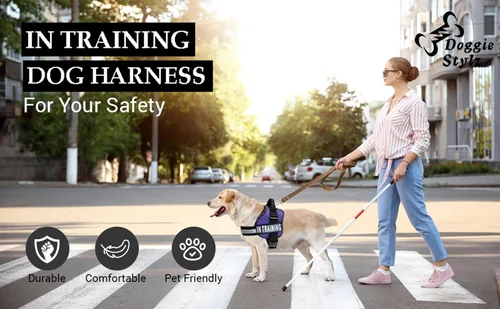 Miniatura 3 de Chaleco de entrenamiento para perros de servicio, arnés ajustable sin tirones con parches. Chaleco de entrenamiento para perros de servicio