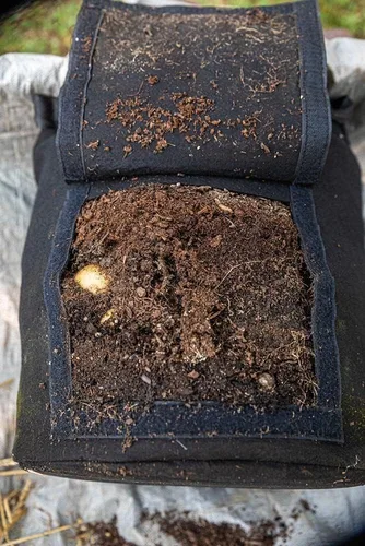 Miniatura 8 de Gardzen Paquete de 6 bolsas de cultivo de verduras sin BPA de 10 galones con solapa de acceso y asas, adecuadas para plantar papas, taro