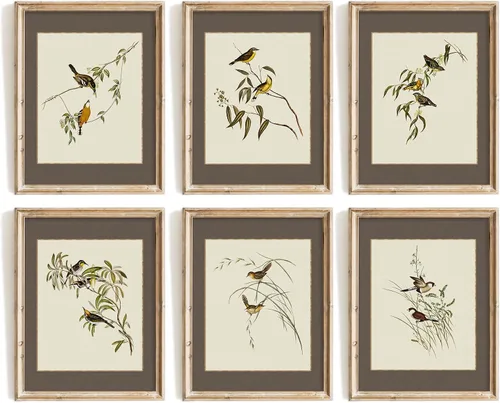 Vodefoad Juego de 6 impresiones de pájaros vintage, arte botánico de pared, arte de pared retro elegante de naturaleza, pinturas minimalistas de