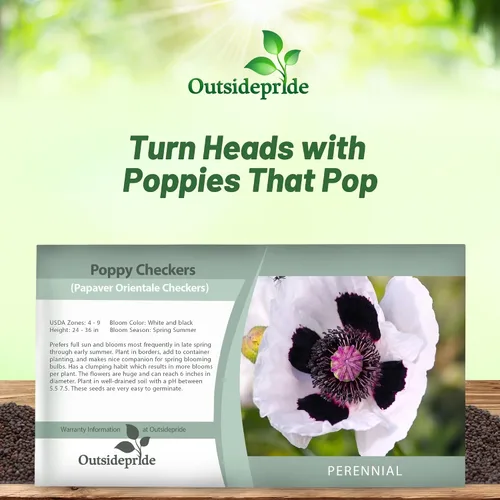 Miniatura 5 de Outsidepride Papaver Orientale Semillas de amapola para plantar, 100 unidades. Semillas anuales, tolerantes a la sequía y fáciles de cultivar