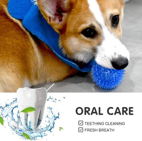 Miniatura 6 de SHARLOVY Bolas chirriantes para mascotas y cachorros pequeños, paquete de 6 pelotas TPR para perros con púas de goma TPR para perros, paquete de 6