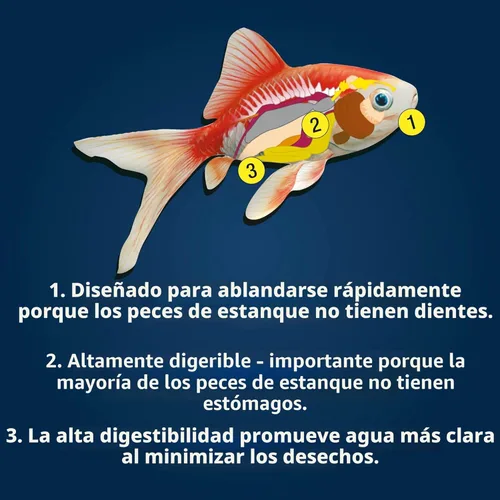 Miniatura 9 de TetraPond Koi Vibrance Palitos Suaves, Alimento Flotante para Peces de Estanque para Peces Koi y Peces Dorados Ornamentales, 2.42 Libras