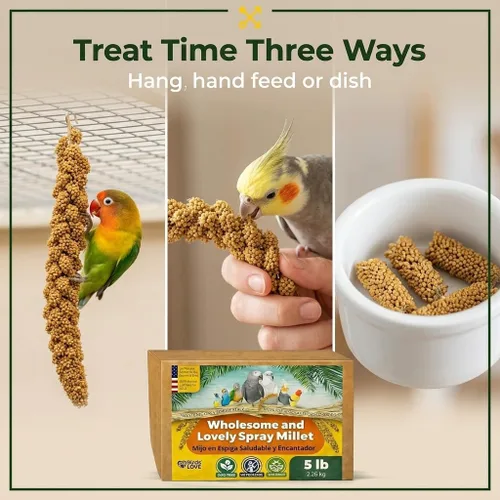 Miniatura 8 de Birds LOVE Mijo en aerosol saludable de 1 libra para pájaros, cultivado en Estados Unidos, natural secado al sol, racimos gruesos ricos en semillas