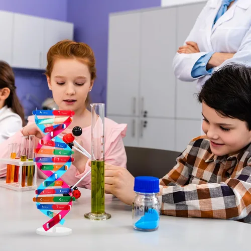 Miniatura 7 de NUOBESTY Kit de modelo de ADN, modelo de estructura de doble hélice, 13 pulgadas para ensamblar ayuda docente de biología con soporte