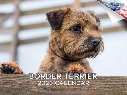 Miniatura 218 de Calendario 2025 2026 de cachorros Cocker Spaniel - Calendario mensual de pared de raza de perro - 12" x 24" abierto - Papel grueso sin sangrado