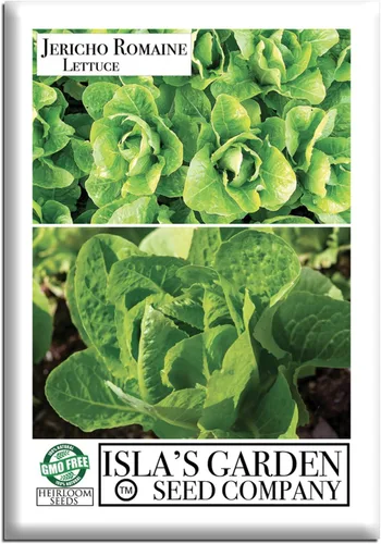 Jericho Semillas de lechuga romana para plantar, más de 500 semillas tradicionales por paquete, semillas de jardín de Isla (semillas de jardín de
