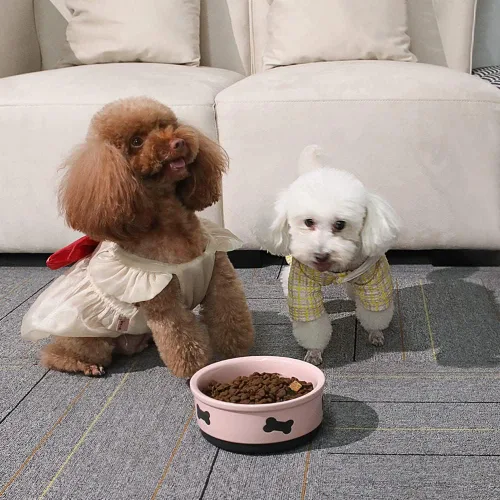Miniatura 3 de Sweejar Cuencos de cerámica para perros con patrón de huesos, plato de comida para perros pequeños, cuenco de porcelana para agua de 16 onzas Rosa