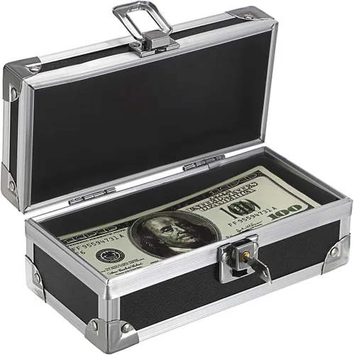 Hipiwe Caja de Dinero con Cerradura, Caja de Dinero de Aleación de Aluminio para Almacenamiento de Dinero con Cerradura, Bandeja de Monedas de Una