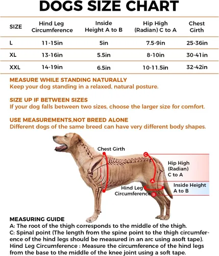Miniatura 3 de Soporte de cadera para perro, soporte ajustable para piernas de perro para displasia de cadera, artritis/alivio del dolor, estabilizador de rótula