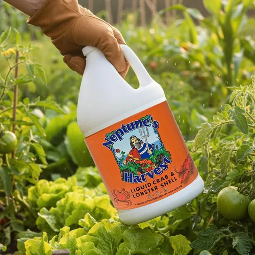 Miniatura 4 de Neptune's Harvest Fertilizante líquido multiusos orgánico de cangrejo y langosta (2-0-2) - Botella de 1 galón - Fertilizante de suelo rico