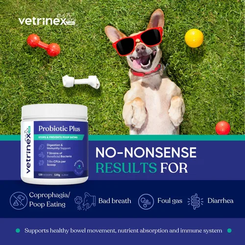 Probióticos para perros y gatos con prebióticos, 3 mil millones CFU, 7 cepas, mejor suplemento para el alivio de diarrea, infecciones de la piel y