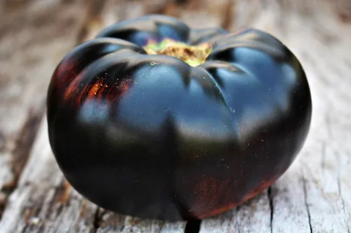 Miniatura 6 de Semillas de tomate negro para plantar más de 20 semillas