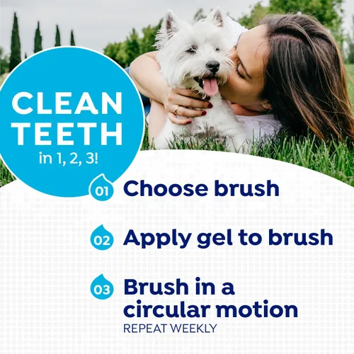 Miniatura 5 de Naturel Promise Kit de cepillo dental fresco y pasta de dientes para perros, kit de limpieza de dientes para eliminación de placa y sarro, contiene