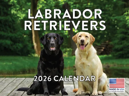 Miniatura 182 de Calendario de pared mensual 2025 Great Dane de 12 meses, fabricado en Estados Unidos
