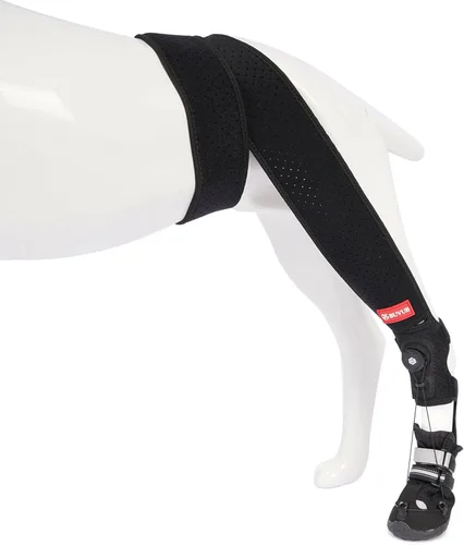 Bota para nudillos caninos para perros con esfera ajustable para arrastrar los dedos por insuficiencia del nervio ciático, mielopatía, hernia de