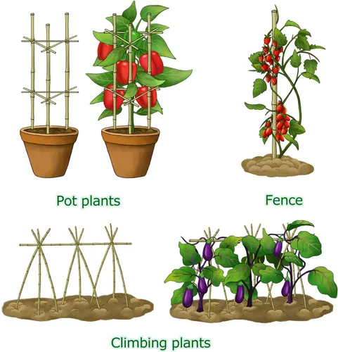 Miniatura 5 de Cambaverd Varillas de bambú para plantas, estacas de bambú de 2 pies para jardinería interior, estacas para plantas en maceta, mini árboles, estacas