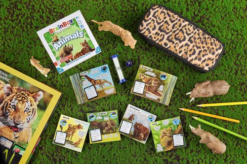 Miniatura 9 de BrainBox - Juego de cartas de animales – Memoria y observación, 55 tarjetas de escenas detalladas, trivia familiar para niños y adultos, a partir