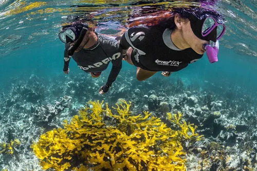 Miniatura 2 de SCUBAPRO Spectra Snorkel