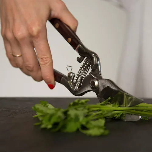 Miniatura 6 de Verve CULTURE - Tijeras de cocina tailandesas y tijeras de podar para jardinería, hechas a mano, multiusos, con cuchillas de acero inoxidable y asas