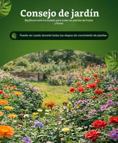 Miniatura 5 de FoxFarm - Alimento para plantas Big Bloom, concentrado de fertilizante líquido para flores, frutas y verduras, fertilizante vegetal multiusos