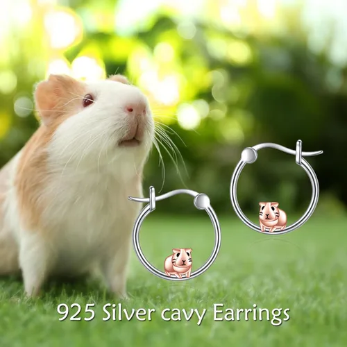 Miniatura 55 de VONALA Bonitos aretes de aro de plata de ley 925, regalos de cumpleaños para mujer