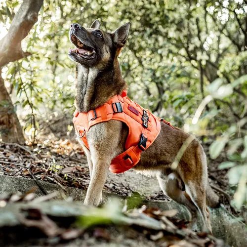 Miniatura 2 de OneTigris FIRE Watcher 2.0 Arnés Anti-tirones para Perro con Asa - Chaleco de Perro de Servicio Ajustable para Perros Grandes y Medianos (S, Naranja)